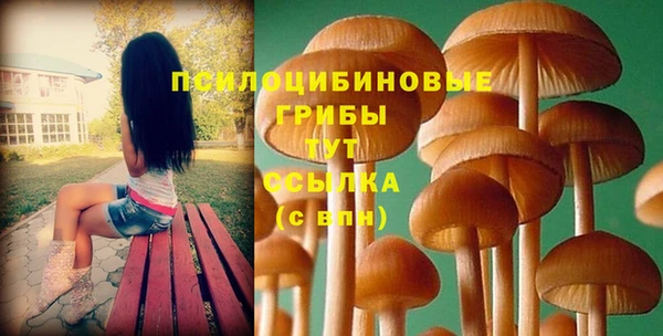 прущая мука Зеленодольск