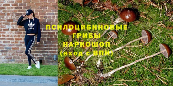 spice Зеленокумск