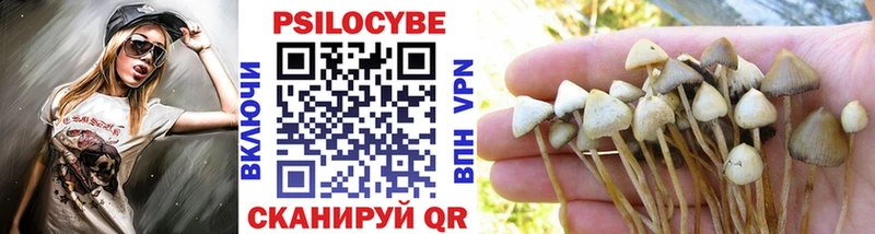 Галлюциногенные грибы Psilocybe  Купить где  Грязовец 